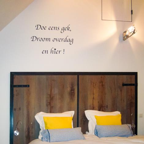 De Moeraseik, Zele